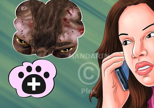 zvonok-veterinaru звонок ветеринару